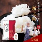米 5kg 新之助 新潟産 �