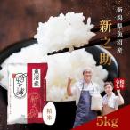 米 5kg 魚沼産新之助 令