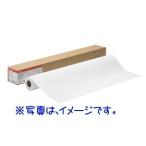 Canon Canon большой размер принтер бумага в рулоне фото глянец бумага HG( толщина .) LFM-GPH/24/255 [Canon прямая поставка товар ] 4377B004