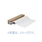 ショッピングcanon Canon キヤノン 大判プリンタ ロール紙 フォト半光沢紙HG (薄口) LFM-SGH/A0/170 【Canon直送品】 4380B006