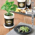 育てる黒えだ豆栽培キット 栽培セット えだ豆 枝豆 かわいい おつまみ ビール 盆栽 観葉植物 簡単 栽培 自由研究 インテリア 癒し 自然 趣味 GD979 991600