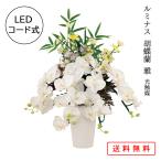 提灯 ちょうちん 盆提灯 おぼん 初盆 創作 モダン 送料無料 新商品 ルミナス 胡蝶蘭 雅 光触媒 LED 電気コード式 ミニ コンパクト かわいい 2022