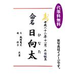 命名紙 命名 お七夜 ご出産 お祝い 名前 代筆無料