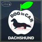  Dux fndo симпатичный яблоко. стикер do Guin машина собака наклейка машина 