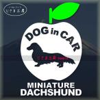  миниатюра Dux fndo длинное пальто симпатичный яблоко. стикер do Guin машина собака наклейка машина 