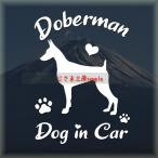  доберман стикер симпатичный алфавит do Guin машина собака наклейка машина 