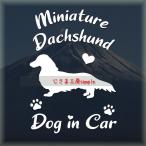  миниатюра Dux fndo длинное пальто стикер симпатичный алфавит do Guin машина собака наклейка машина 