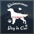 waimalana- длинный волосы - стикер симпатичный алфавит do Guin машина собака наклейка машина 