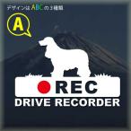  american кокер-спаниель Ame Coca регистратор пути (drive recorder) видеозапись средний стикер борт движение предотвращение do RaRe ko