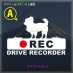  чихуахуа длинное пальто регистратор пути (drive recorder) видеозапись средний стикер борт движение предотвращение do RaRe ko