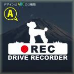  игрушка пудель регистратор пути (drive recorder) видеозапись средний стикер борт движение предотвращение do RaRe ko