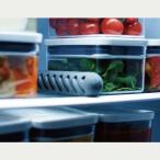 フレッシェンフォーフリッジ