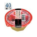 アルプス 果実味豊かな寒天ゼリー 信州りんごゼリー ×40個 セット １ケース NZ1C