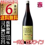 五一ワイン 赤 一升瓶ワイン エコノミー Economy 1800ml やや甘口 長野県 国産ワイン 6本以上送料無料 1.8l