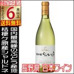 . один вино .. штук . автомобиль rudone720ml белый вино .. в коробке Nagano префектура местного производства вино 