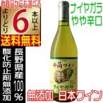 井筒ワイン 無添加 白ワイン 辛口 ナイアガラ 720ml 2023 新酒 国産ワイン よりどり6本以上送料無料