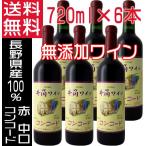 ショッピングワイン 井筒ワイン 無添加 コンコード 赤ワイン 中口 2023 新酒 720ml×6本 国産ワイン 送料無料 wine