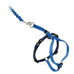 PetSafe( домашнее животное safe ) легкий walk кошка для Harness & банджи Lead прогулка для .. трудно безопасность проект [ королевский синий M размер ]