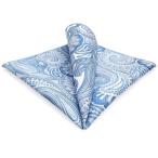 SHLAX&amp;WING темно-синий . серебряный peiz Lee узор мужской pocket square шелк свадьба бизнес 