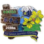  Япония 100 название гора [ значок ]2 уровень булавка z/ Iwate гора eiko- треккинг альпинизм товары почтовый заказ 