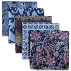 (silaks. Wing ) Shlax&amp;Wing полоса мужской pocket square 5 шт. комплект бизнес .. шелк 