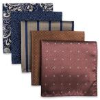(silaks. Wing ) Shlax&amp;Wing полоса мужской pocket square 5 шт. комплект бизнес .. шелк 