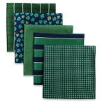(silaks. Wing ) Shlax&amp;Wing полоса мужской pocket square 5 шт. комплект бизнес .. шелк 
