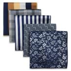 (silaks. Wing ) Shlax&amp;Wing мужской pocket square 5 шт. комплект бизнес .. шелк 