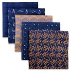 (silaks. Wing ) Shlax&amp;Wing полоса мужской pocket square 5 шт. комплект бизнес .. шелк 