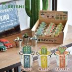 サボバケツ栽培キット SEISHIN | サボバケツ 栽培キット サボテン 丸柱うちわ 3種 膨らむ土 初心者向け ギフト ブリキ製ミニバケツ インテリア
