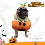 ペットハロウィン犬猫服かぼちゃパン...