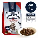 ハッピーキャット カリナリー バイエルン