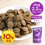 [ ограниченное количество ]10% больше количество Lucy домашнее животное DOGchi gold * Brown рис & тыква 2.2kg собака корм для собак сухой корм низкий arerugen