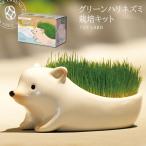 Yahoo! Yahoo!ショッピング(ヤフー ショッピング)栽培キット TOY LABO トイラボ グリーンハリネズミ 芝 ＆ クローバー 植物 みどり豊かな芝 植物 プランター お部屋で育てるインテリア 自由研究 入学祝い