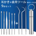 耳かき ミニ 歯石取り器具 9点セット 収納ケース付き 日本国内当日発送 歯用ツール デンタルツール ヤニ 歯垢取り 口臭予防 自宅用 耳掻き 耳掃除 #br153