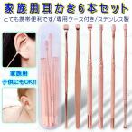 6本セット耳かき みみかき 耳掃除 専用ケース付き ステンレス製 自宅用 ポイント消化 大きい 小さい 手入れ 耳くそ 耳垢 #br21