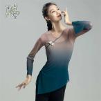  женский танцевальный костюм классика танцы 2 позиций комплект классика танцевальный костюм прозрачный V шея длинный рукав .. чувство chu-ru градация flair рукав палец дыра китайский способ раса способ коричневый ina способ 