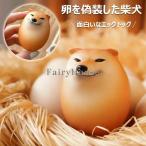  squishy игрушка -тактный отсутствует аннулирование squishy мяч . собака яйцо Tama ....eg squishy -тактный отсутствует мяч eg собака fije