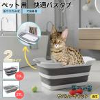  домашнее животное ванна ванна шампунь для домашних животных для домашних животных ванна домашнее животное автобус шампунь ванна ванна Savanna кошка кошка Savanna 