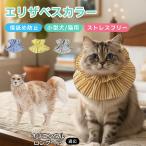 olientaru длинный волосы кошка oli long ветеринарный воротник кошка soft мягкий легкий текстильный размер регулировка царапина . защита . после уход .... уход 