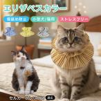  cell машина k Rex кошка cell машина k ветеринарный воротник кошка soft мягкий легкий текстильный размер регулировка царапина . защита . после уход .... уход 