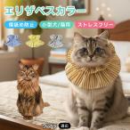 so Мали кошка вид so Мали ветеринарный воротник кошка soft мягкий легкий текстильный размер регулировка царапина . защита . после уход .... уход 