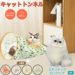  кошка тоннель кошка тоннель игрушка движение нехватка аннулирование складной -тактный отсутствует departure . движение нехватка меры экзотический длинный волосы кошка ekizo long 