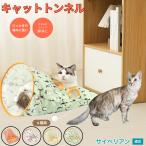  кошка тоннель кошка тоннель игрушка движение нехватка аннулирование складной -тактный отсутствует departure . движение нехватка меры носорог be Lien кошка вид носорог be Lien 