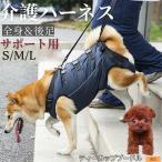  чайная чашка пудель собака чайная чашка Pooh собака уход Harness приспособление для ходьбы все тело поддержка после для ноги пассажирский маленький размер собака средний собака . собака товары для ухода li - bili прогулка для 