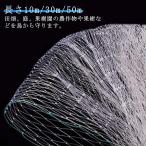  длина 10m/30m/50m защита от птиц сеть . бабочка сеть защита от птиц сеть . бабочка сеть фруктовое дерево культивирование птица . меры .. для .. птица .. сеть фруктовое дерево для прямой .. защита от птиц сеть голубь ..be Ran 