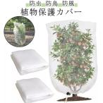  москитная сетка .. овощи культивирование сеть ..40*50cm мешочек тип москитная сетка садоводство сеть посадочная машина цветок . растения защита птица ..60*80cm 80*1