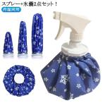 氷嚢 結露しない 氷嚢 氷のう スプレー+氷嚢 ゴルフ スポーツ 持ち運び アイスバッグ 6インチ 熱中症対策 11インチ 9インチ 2点セット アイ