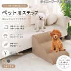 タイニープードル犬 タイニープー �