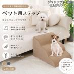 ジャックラッセルテリア犬 ジャッ�